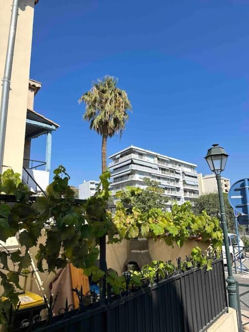 Orangers - Bord De Mer-studio Cosy Refait A Neuf 4 Personnes Apartment